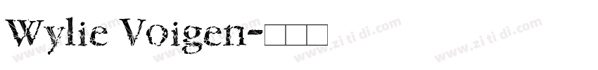 Wylie Voigen字体转换